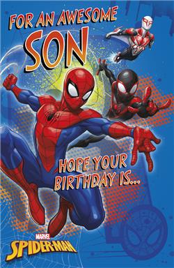Son Birthday Spiderman