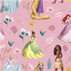 Rollwrap 2m Tear Strip-Disney Princess