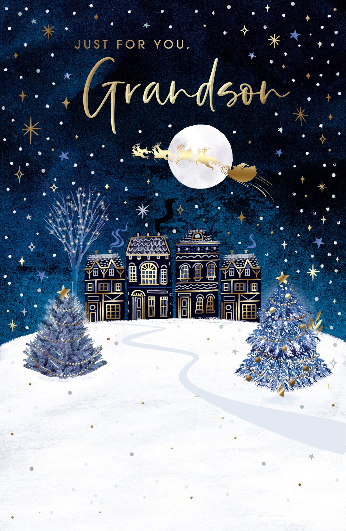 Grandson Christmas Starry Night And Houses In The Snow