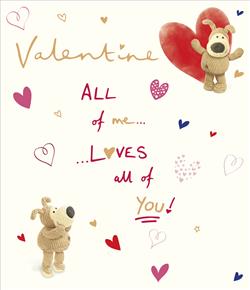 General Valentine's Card All of me loves all of you Boofle Design