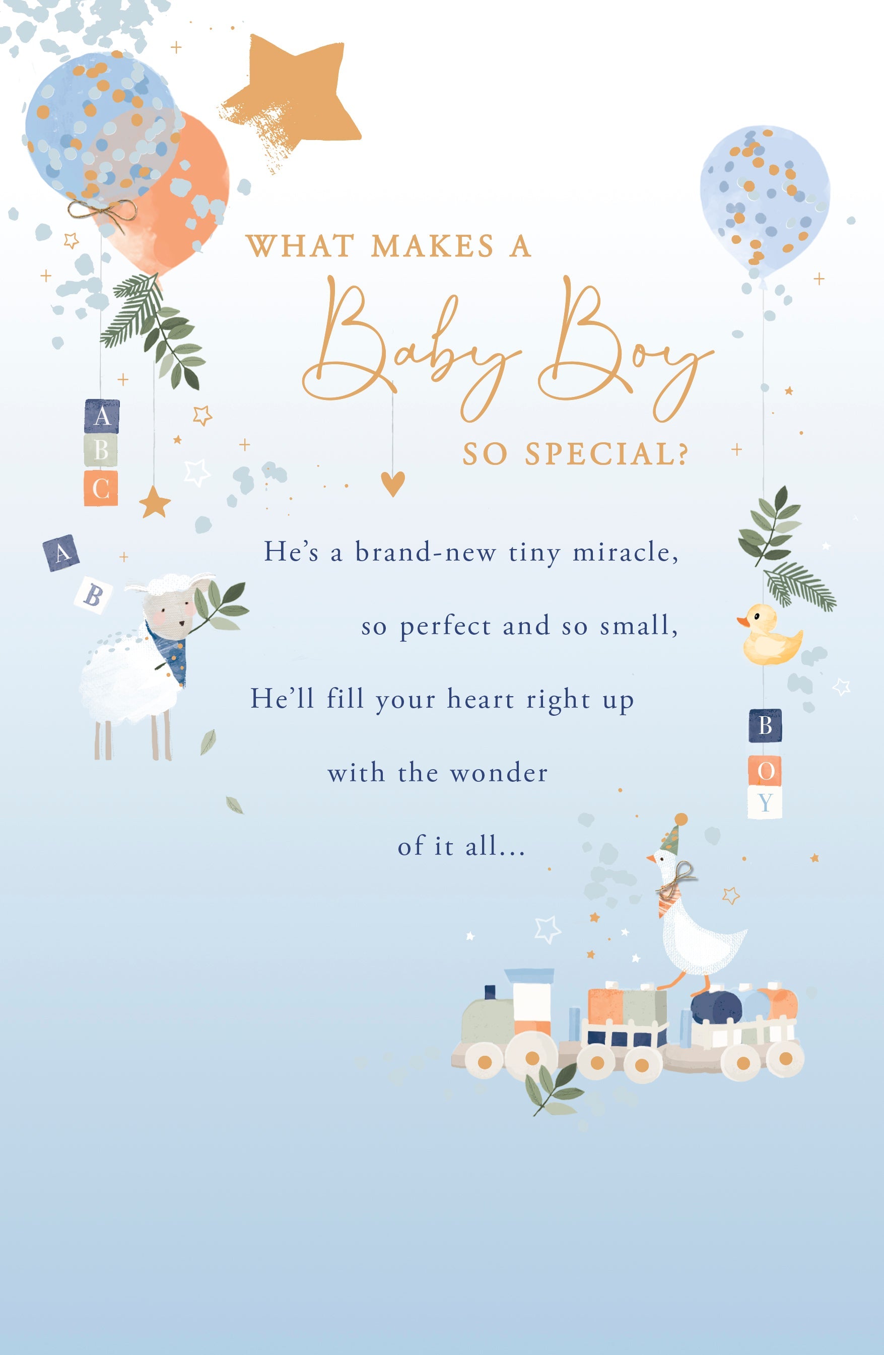 Baby Boy Congratulations Card