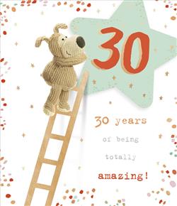 Happy 30th Birthday Card - Boofle