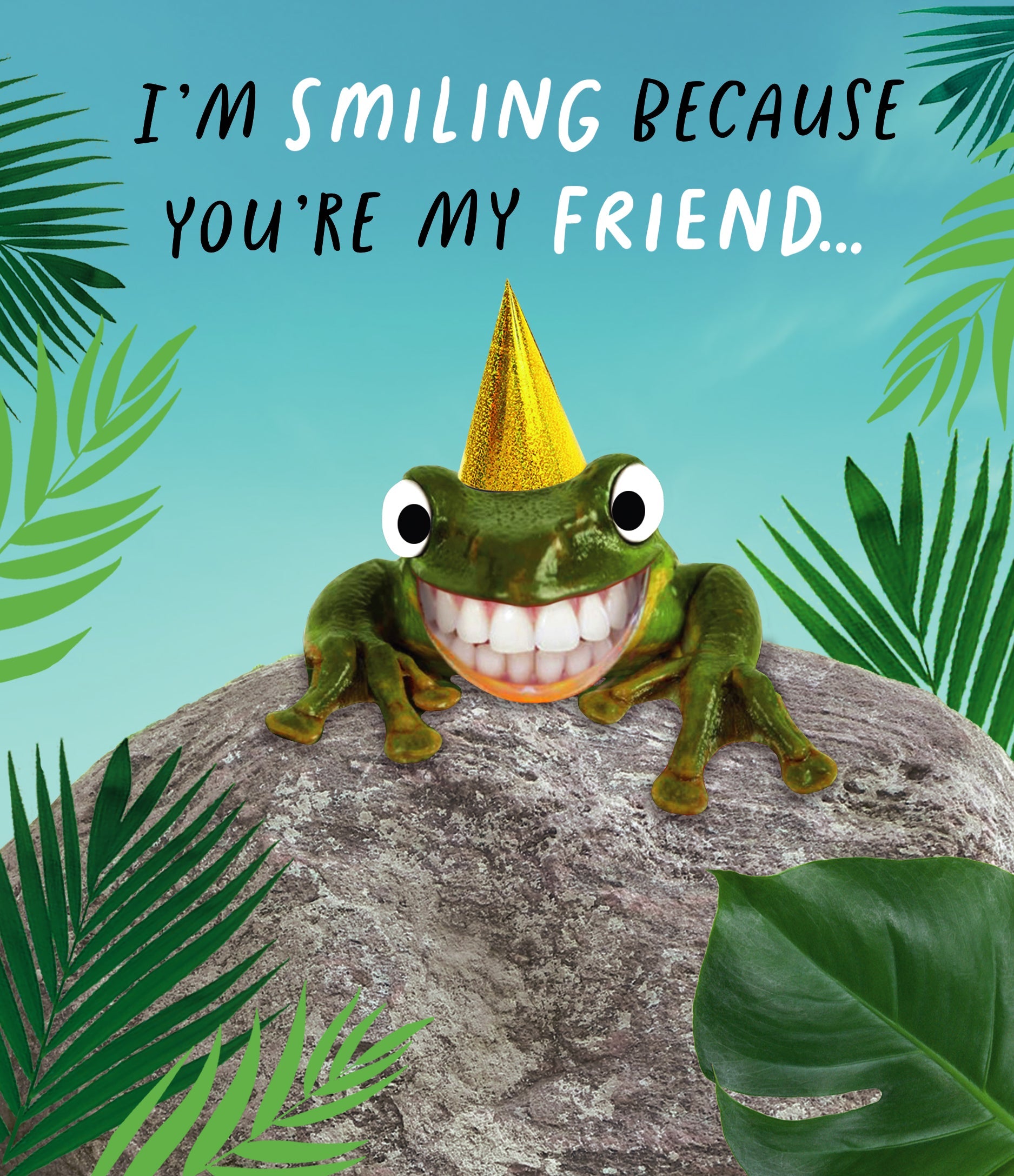 Happy Birthday Friend Card - Smiling Frog
