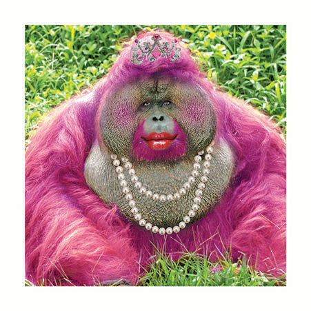 Pink Chimpanzee with Pearls Card