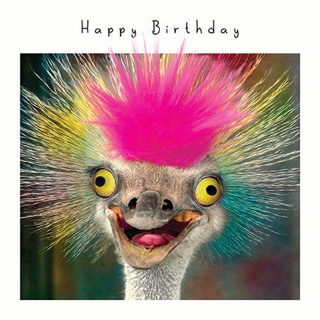 Fluff Happy Funky Ostrich