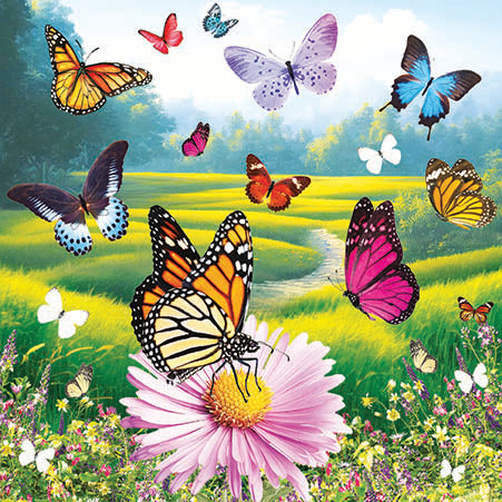3D Butterfly Blank Card