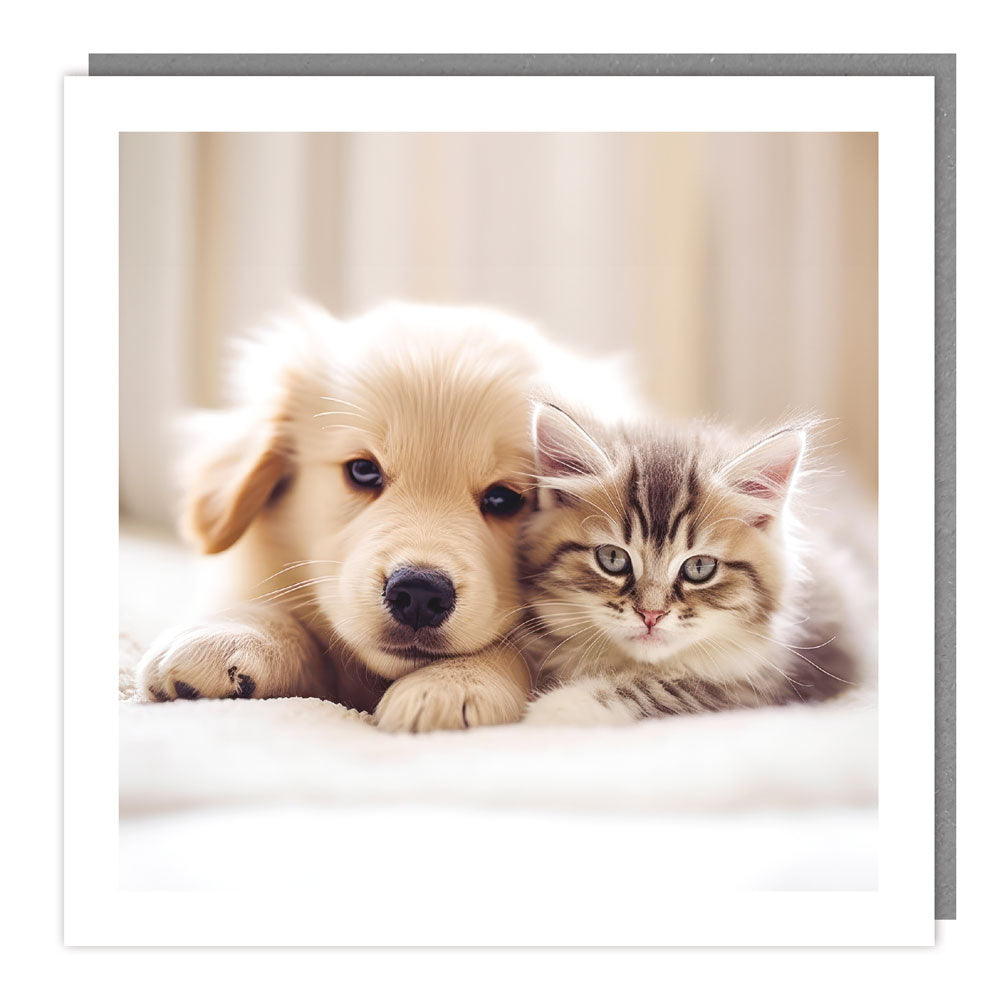 Blank Dog & Cat Photographic