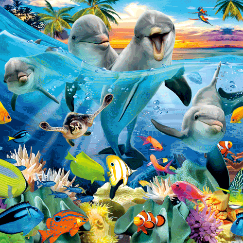 3D Under the Sea Dolphin Blank Card