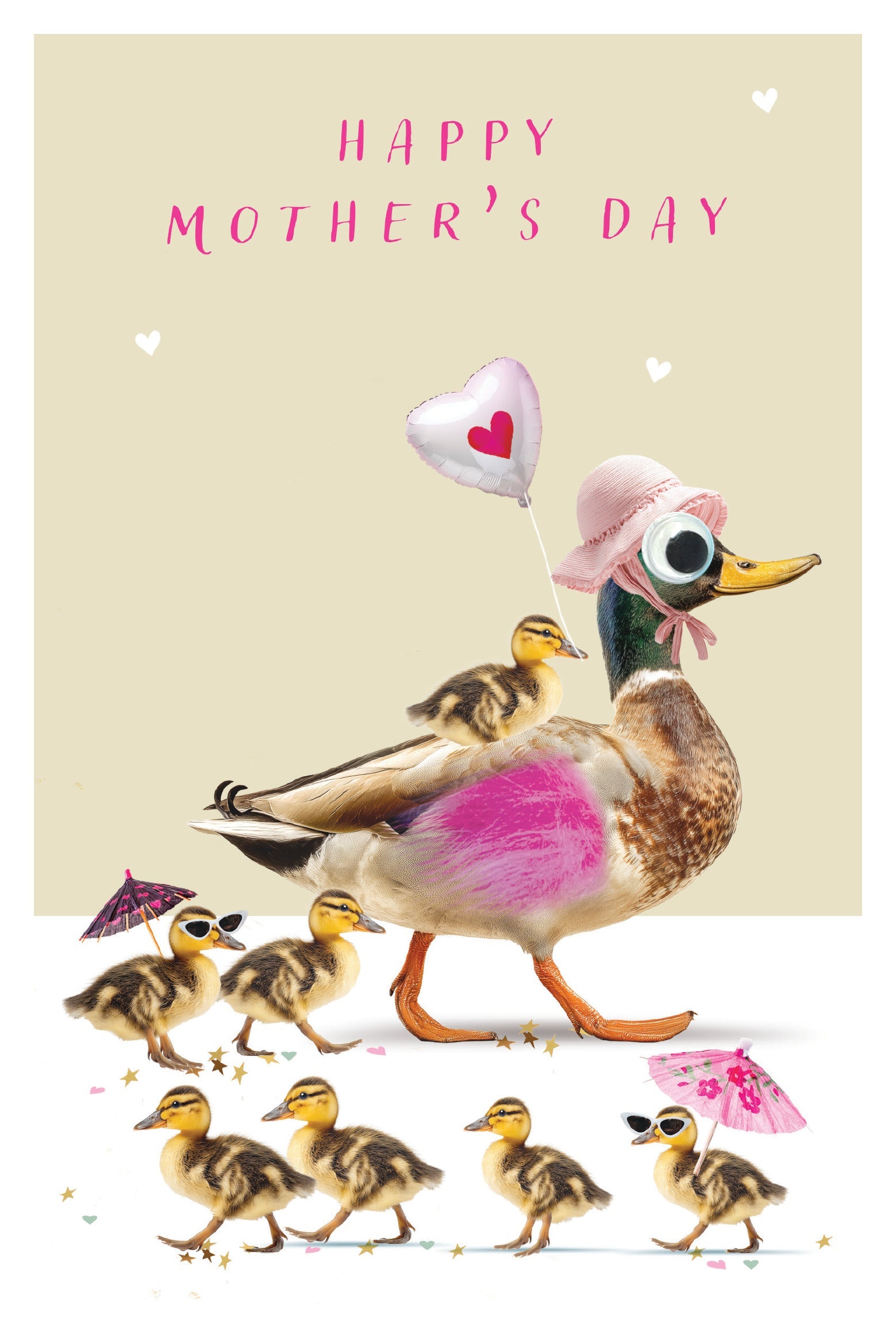 Fluff Duck Mum with ducklings Mother's Day Card