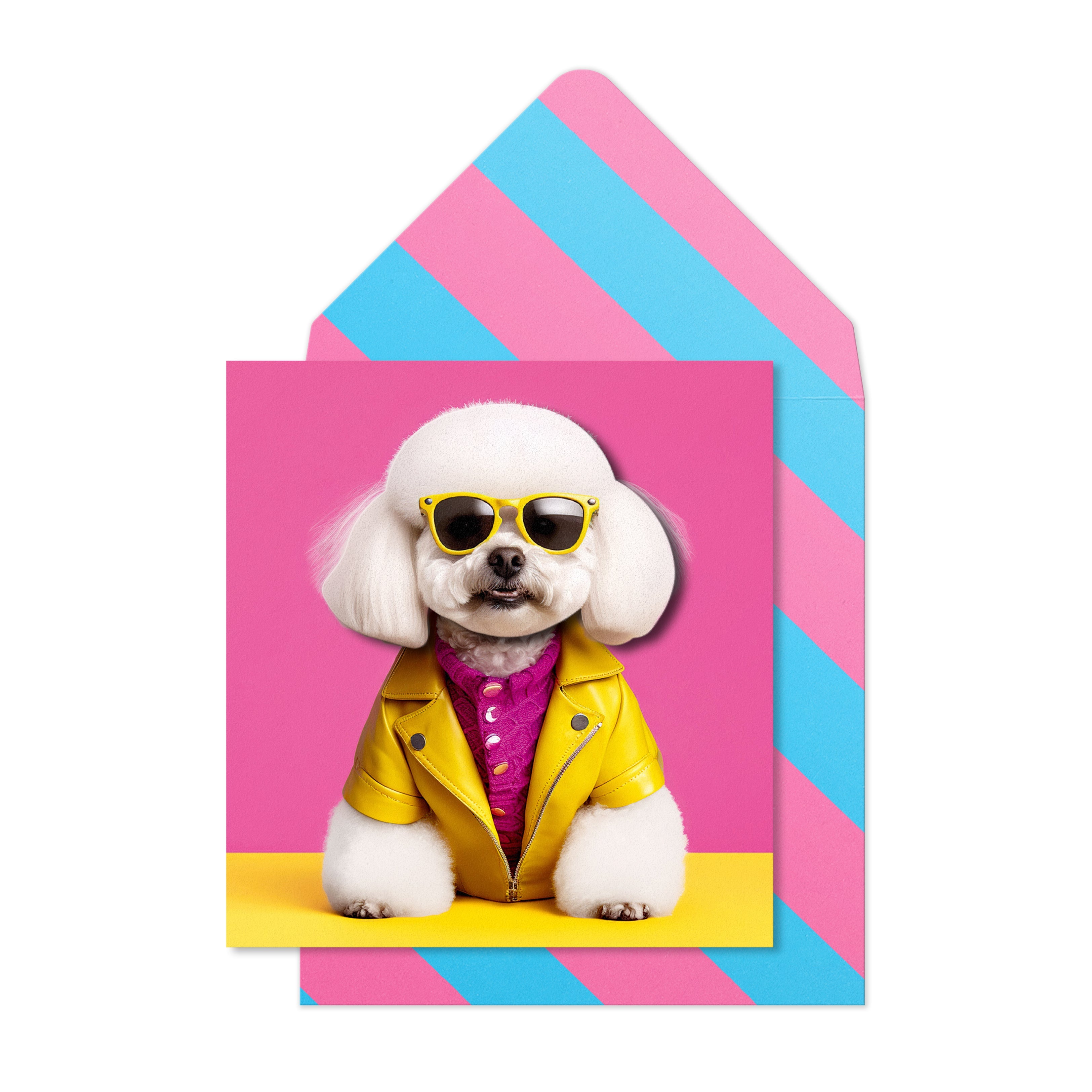 Trendy Bichon Frise Card