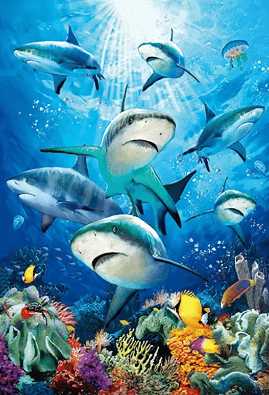 3D Notebook A6 Sharks