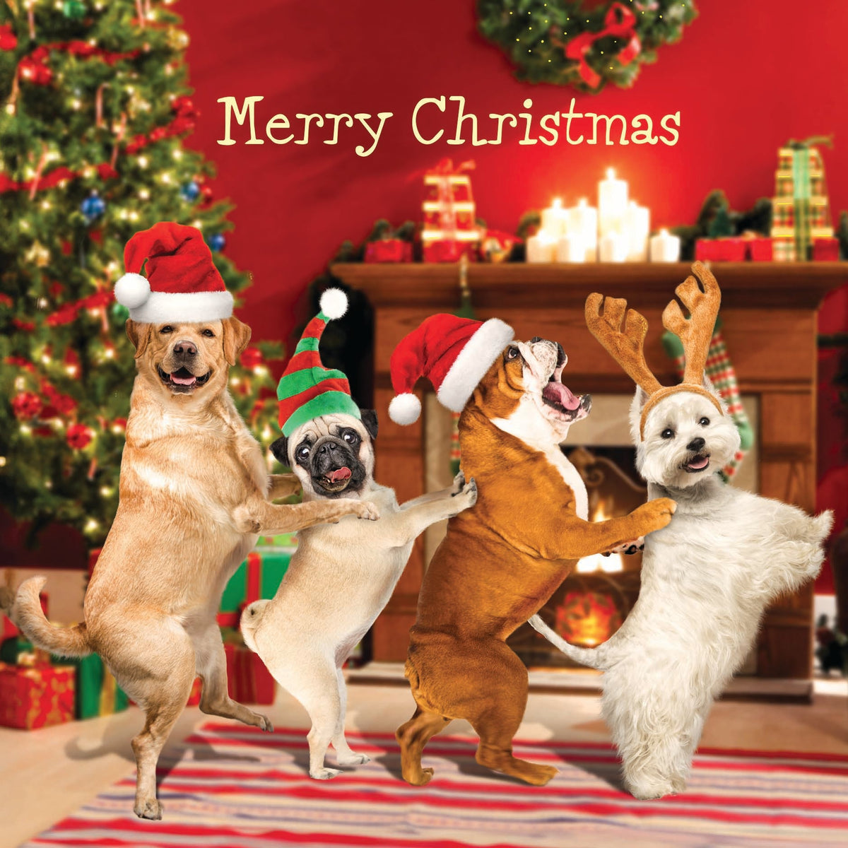 3D Funny Dogs With Christmas Hats