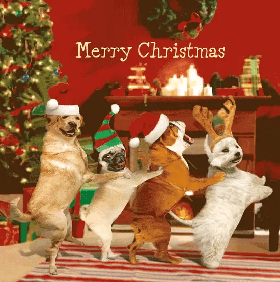 3D Funny Dogs With Christmas Hats