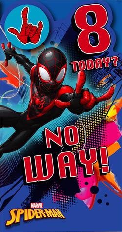 8th Birthday Spiderman Badge