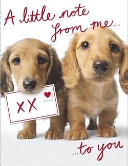 General Valentine's Card A little note dogs Design