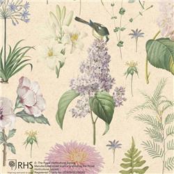 Rollwrap 2m Tear Strip - RHS Floral