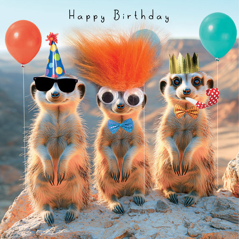 Fluff Happy Birthday Meercats