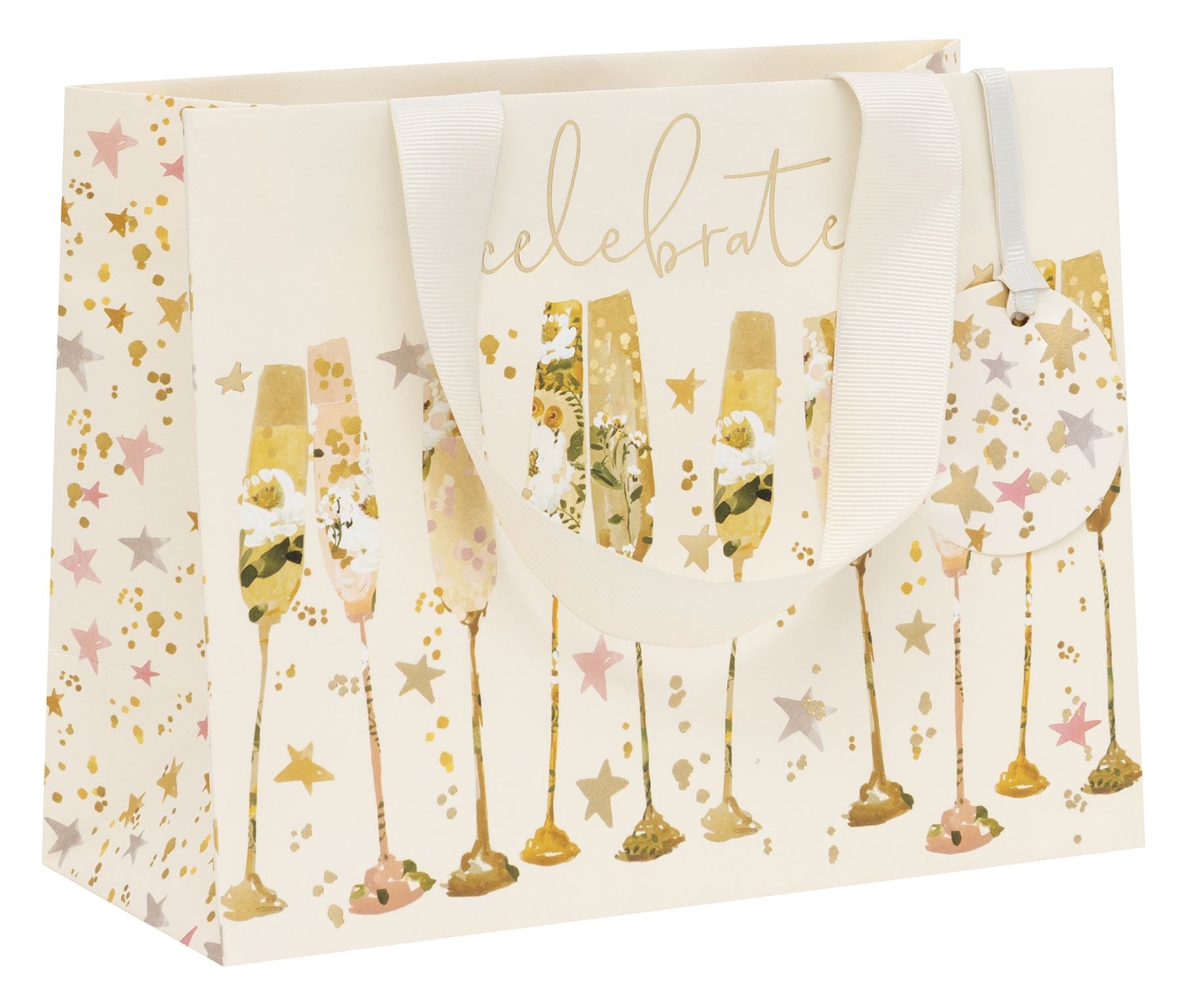 Gift Bag Landscape Medium Flutes