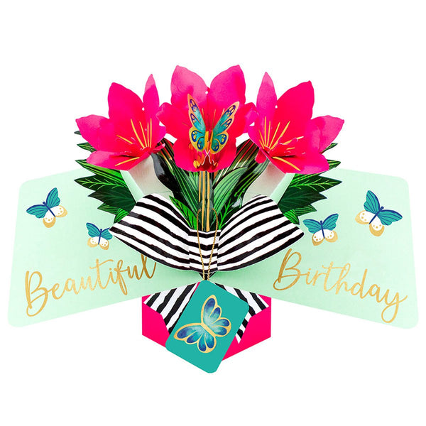 Second Nature Pop Ups Amaryllis