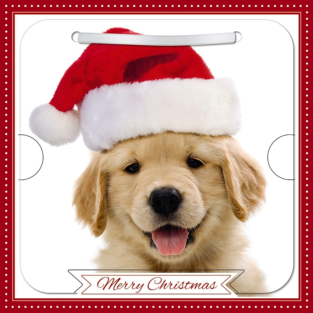 Open Card - 3D Cute Dog With Santa Hat