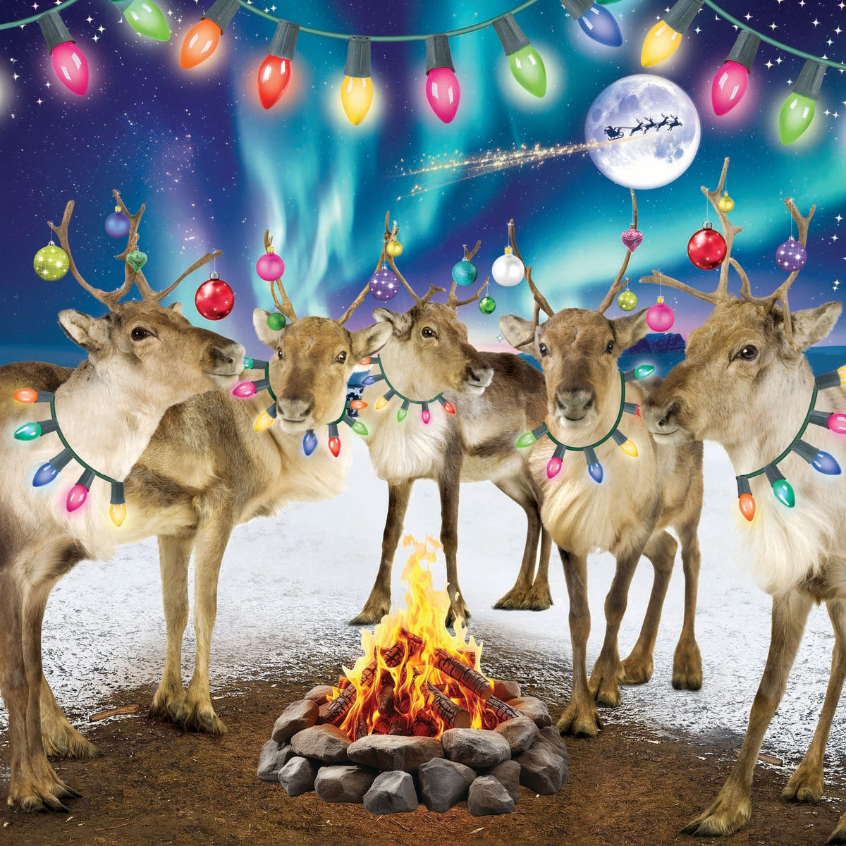 3D Festive Reindeer With Christmas Lights