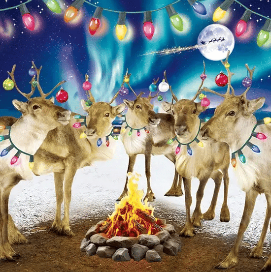 3D Festive Reindeer With Christmas Lights